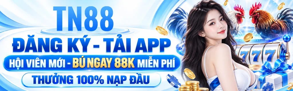 banner TN88