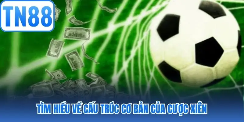 Tìm hiểu về cấu trúc cơ bản của cược xiên