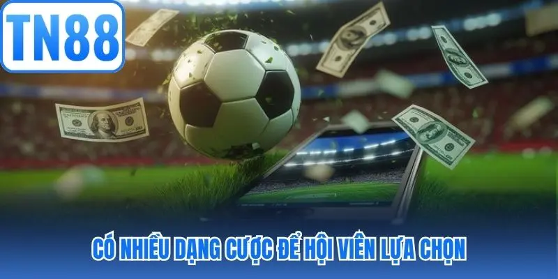 Có nhiều dạng cược để hội viên lựa chọn