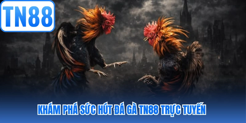 Khám phá sức hút đá gà TN88 trực tuyến