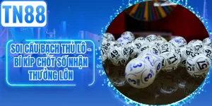 Soi Cầu Bạch Thủ Lô - Bí Kíp Chốt Số Nhận Thưởng Lớn