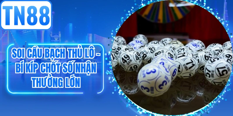 Soi Cầu Bạch Thủ Lô - Bí Kíp Chốt Số Nhận Thưởng Lớn